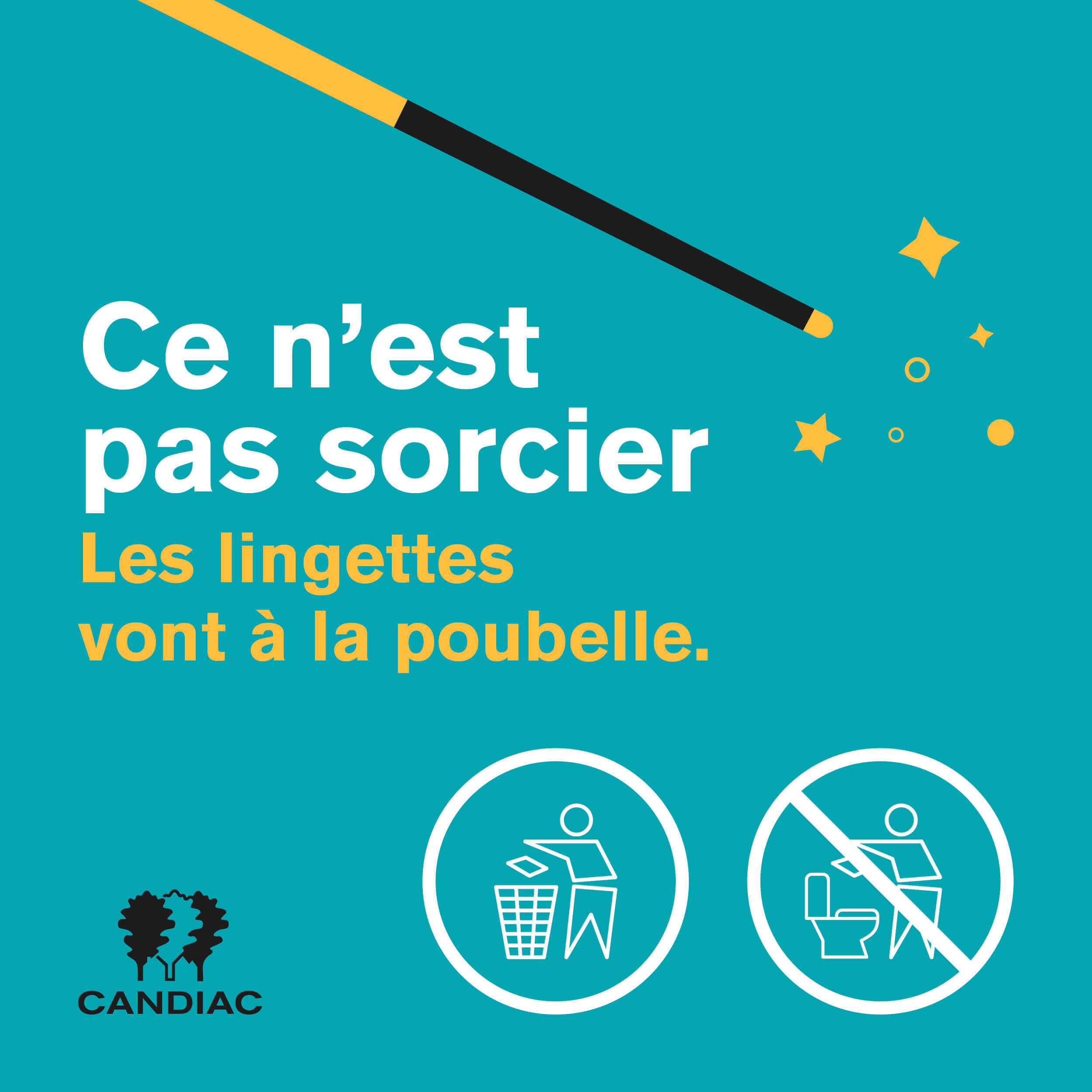 Pas_de_lingettes_dans_les_toilettes_2021_FB_v1_01.jpg (1023 KB)